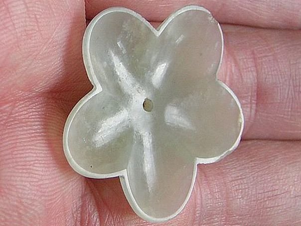 Flower 556 - (9057)